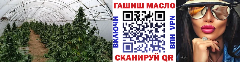 Дистиллят ТГК вейп Тайга