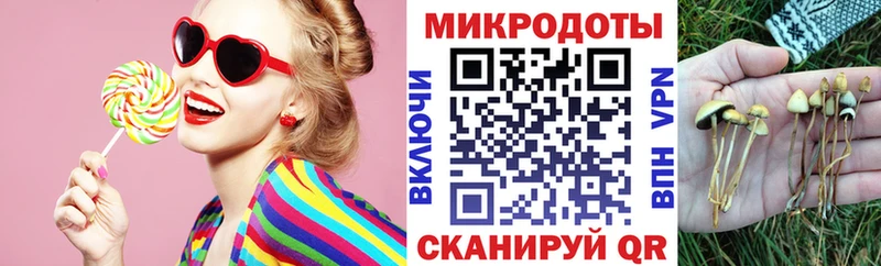 Псилоцибиновые грибы мухоморы гидра сайт Тайга
