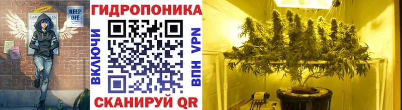 МАРИХУАНА OG Kush Тайга